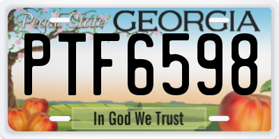 GA license plate PTF6598