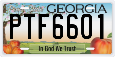 GA license plate PTF6601