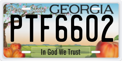 GA license plate PTF6602