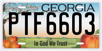 GA license plate PTF6603