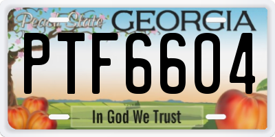 GA license plate PTF6604
