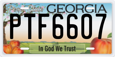 GA license plate PTF6607