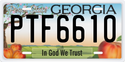 GA license plate PTF6610