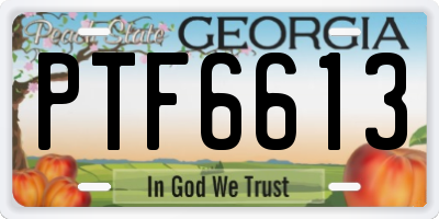 GA license plate PTF6613