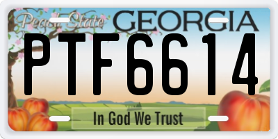 GA license plate PTF6614