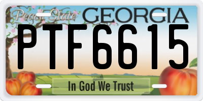 GA license plate PTF6615