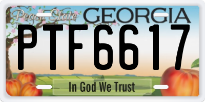 GA license plate PTF6617