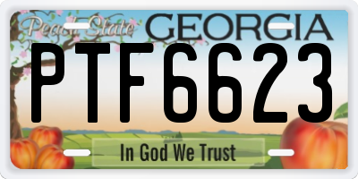 GA license plate PTF6623