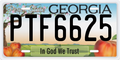 GA license plate PTF6625
