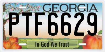GA license plate PTF6629