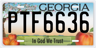GA license plate PTF6636