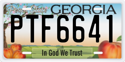 GA license plate PTF6641