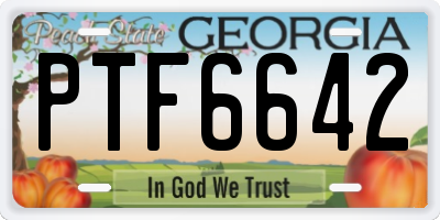 GA license plate PTF6642