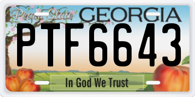 GA license plate PTF6643