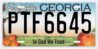 GA license plate PTF6645
