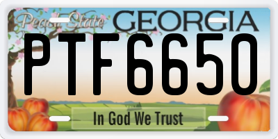 GA license plate PTF6650