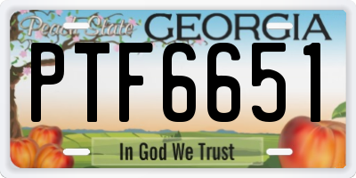 GA license plate PTF6651