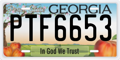 GA license plate PTF6653