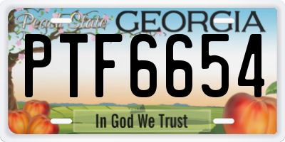 GA license plate PTF6654