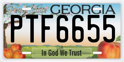 GA license plate PTF6655