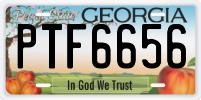 GA license plate PTF6656