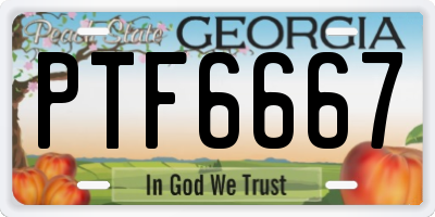 GA license plate PTF6667