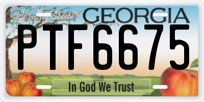GA license plate PTF6675