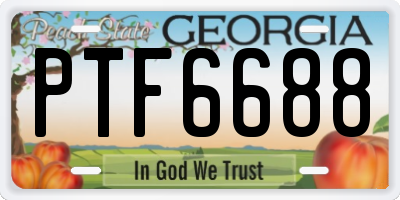 GA license plate PTF6688