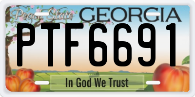 GA license plate PTF6691