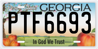 GA license plate PTF6693