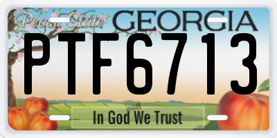 GA license plate PTF6713