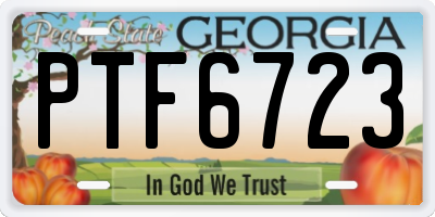 GA license plate PTF6723