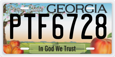 GA license plate PTF6728
