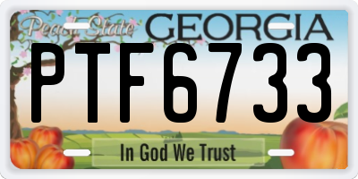 GA license plate PTF6733