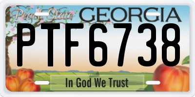 GA license plate PTF6738