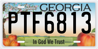 GA license plate PTF6813