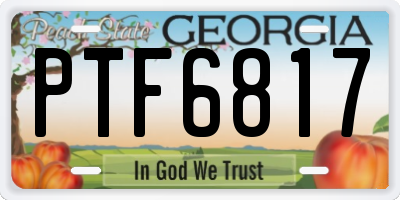 GA license plate PTF6817