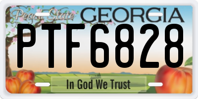 GA license plate PTF6828