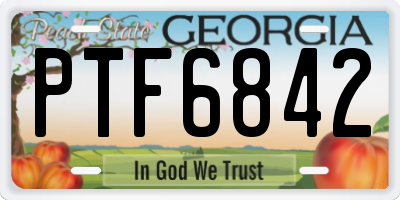 GA license plate PTF6842