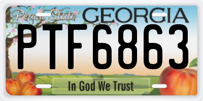 GA license plate PTF6863