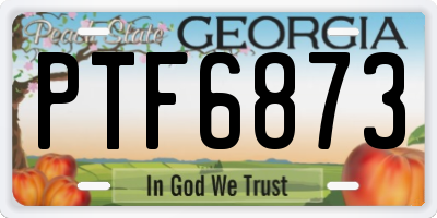 GA license plate PTF6873