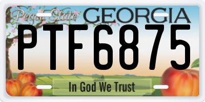 GA license plate PTF6875