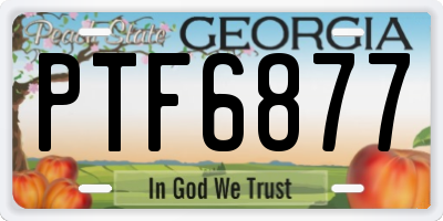 GA license plate PTF6877
