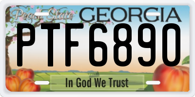 GA license plate PTF6890