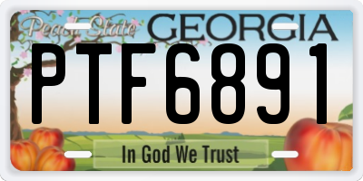 GA license plate PTF6891