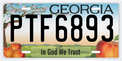 GA license plate PTF6893