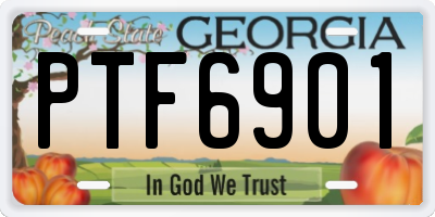 GA license plate PTF6901