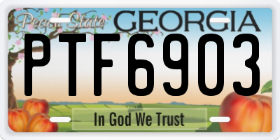 GA license plate PTF6903