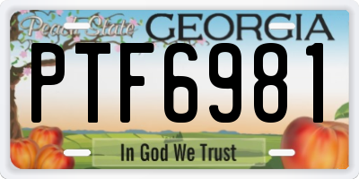 GA license plate PTF6981