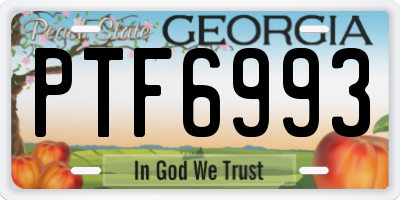 GA license plate PTF6993